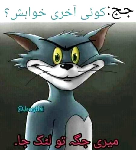 Memes...