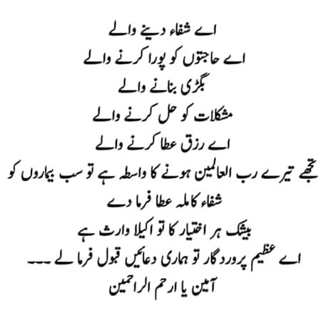 🌹🌷🌹🌷 Bushi 🌹🌷🌹🌷