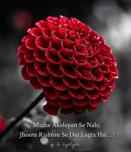 Jhota rishta🔥🔥🔥🔥🔥