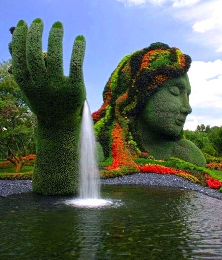 Beautiful Nature image