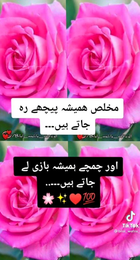 Maza tu tb h k har k bhi hnsty rho...hmesha jeet hi jana kmal thiri h👍✅