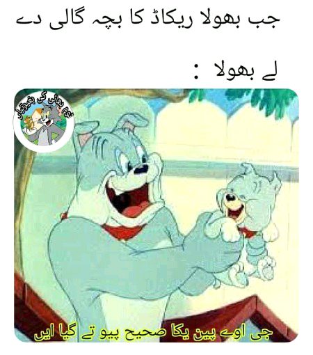 Memes & Satire image