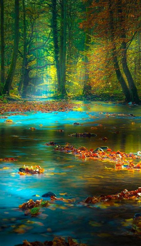 Beautiful Nature image