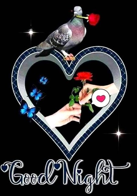 Nightt all