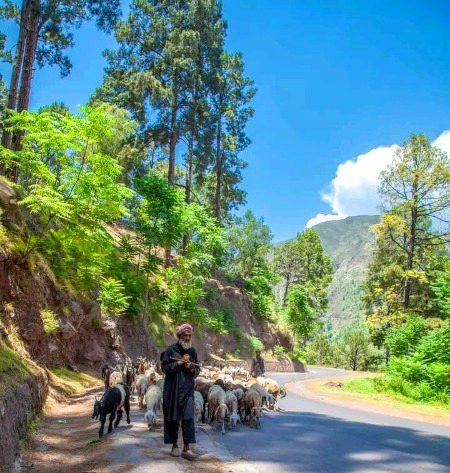 Beautiful Nature image