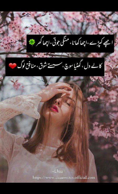 Attitude Quotes image