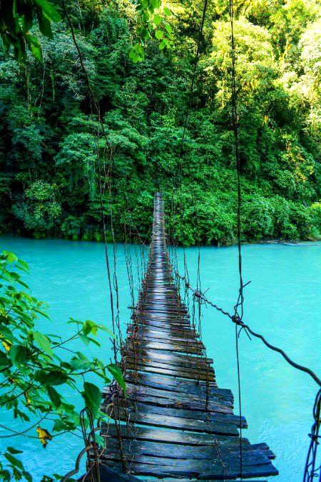 Beautiful Nature image
