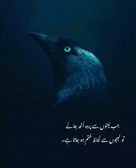 Bilkul sahi bat he.🥤