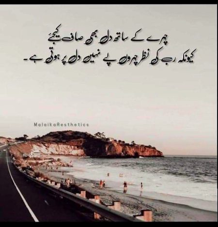 Life Advice image