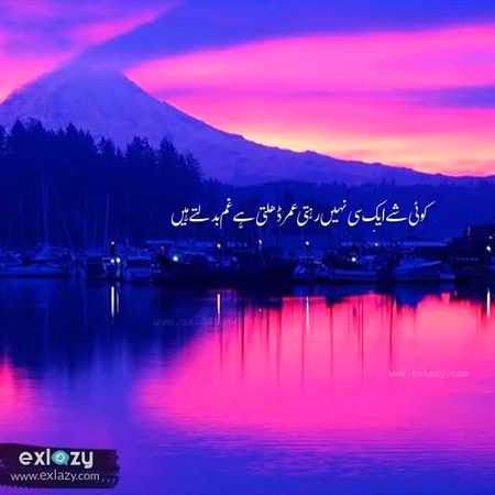 🍁Zoq_Shab🍁
