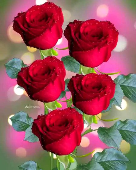 Beautiful Nature image