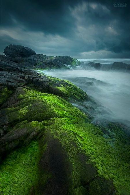 Beautiful Nature image