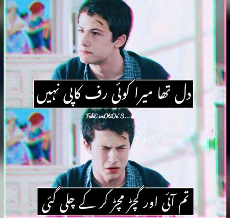 Memes & Satire image