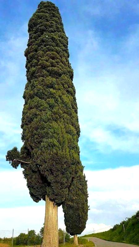 Beautiful Nature image