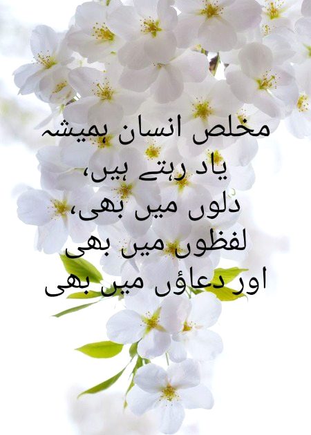 No Caption 🌺🌺