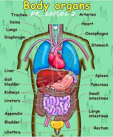 Tips for Students image