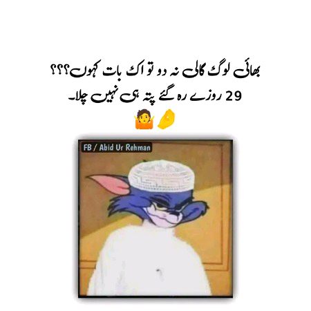 Memes & Satire image