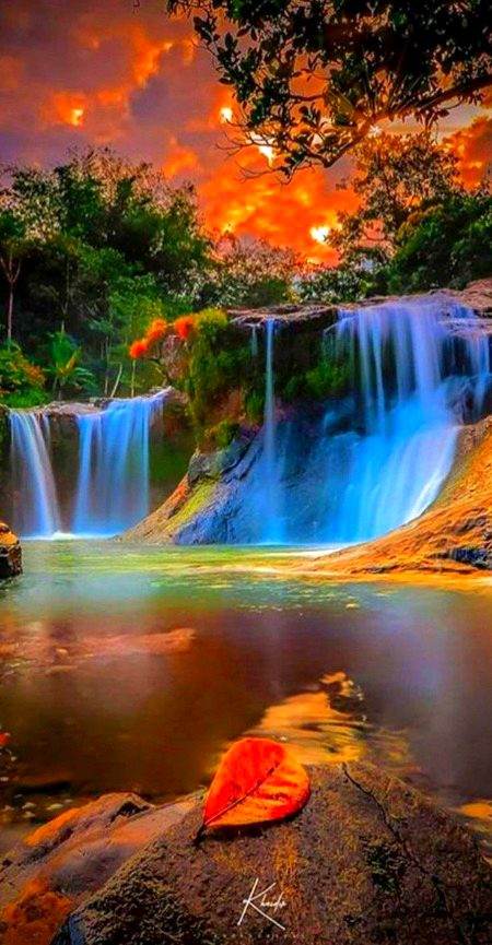 Beautiful Nature image