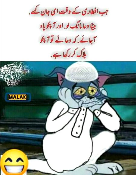 Memes & Satire image