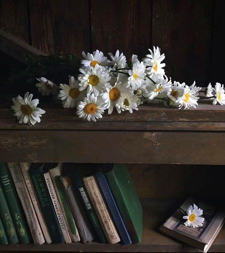 Beautiful Nature image