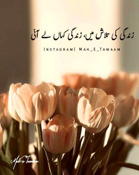 Sumira_Ameen_22🌷🌷