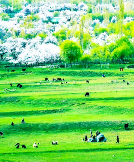 Beautiful Nature image