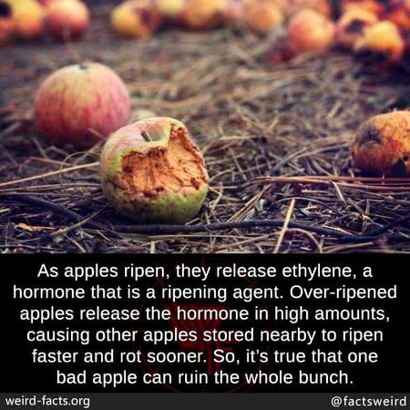 Interesting Posts image
