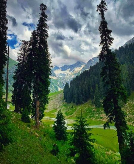 Beautiful Nature image