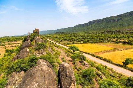 Beautiful Nature image
