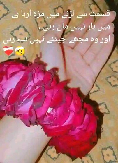 میرے ہاتھوں سے مہک آتی رہی ھے دن بھر
جب خوابوں میں تیرے بال سنوارے میں نے