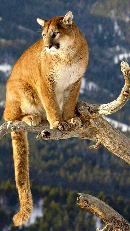 Beautiful Nature image