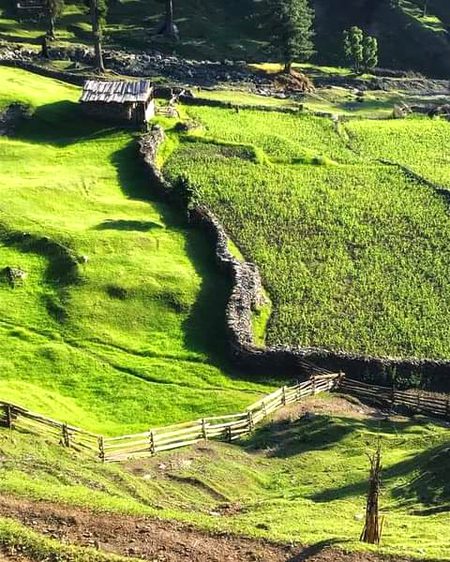 Beautiful Nature image