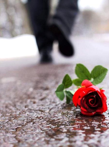 Beautiful Nature image