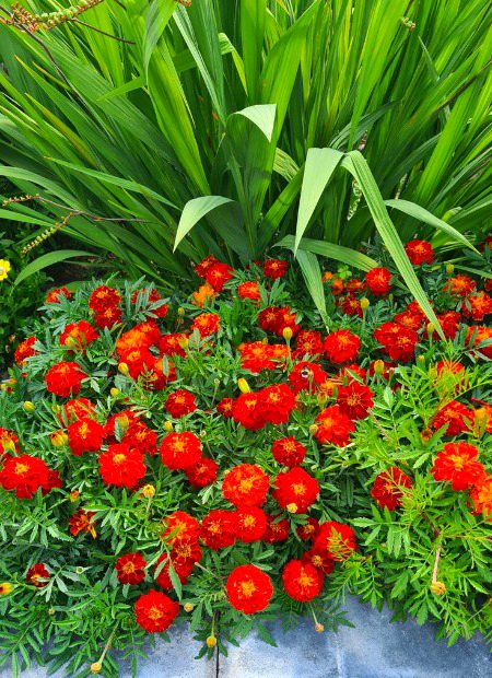 Beautiful Nature image