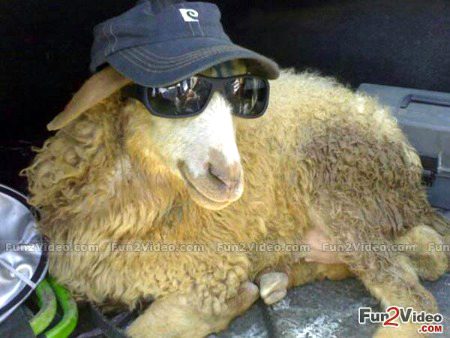 Beautiful Nature image