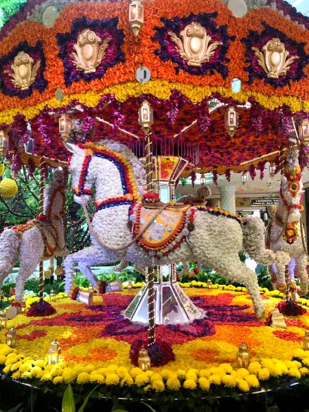 Beautiful Nature image