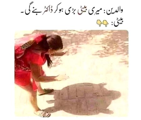 Memes & Satire image