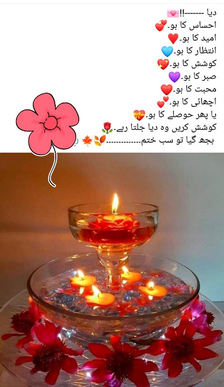 💜💚💛💜💚💛💜💚💛