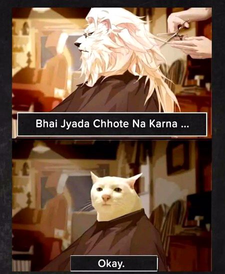 Memes & Satire image