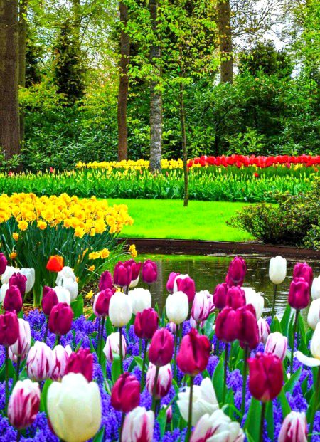 Beautiful Nature image