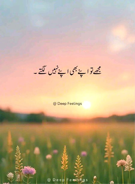 🌸🌹🌸🌹🌸🌹🌸🌹🌸