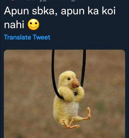 Memes & Satire image