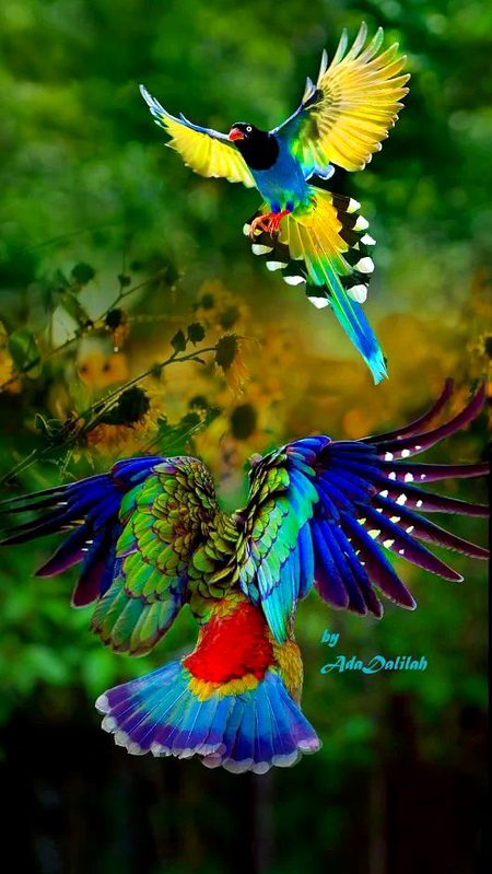 Beautiful Nature image