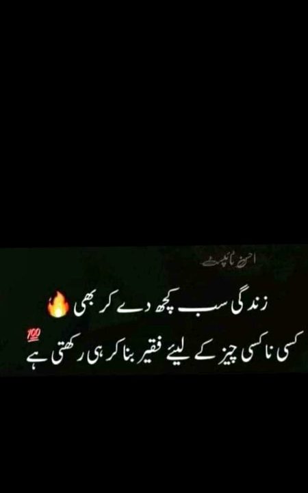 True lines😥😥
