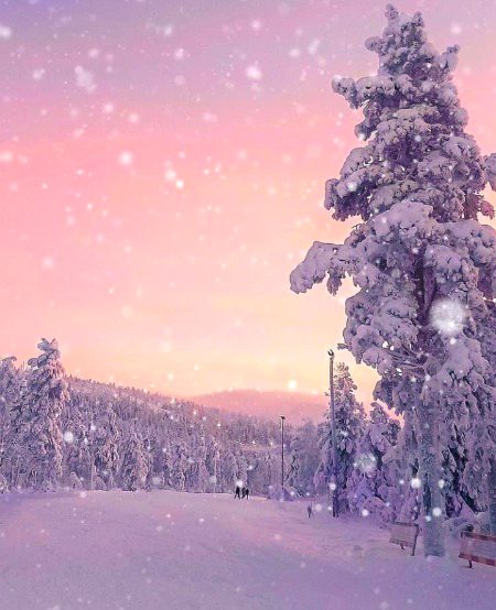 Beautiful Nature image