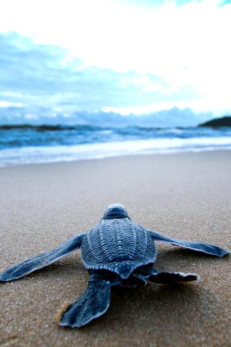 Beautiful Nature image