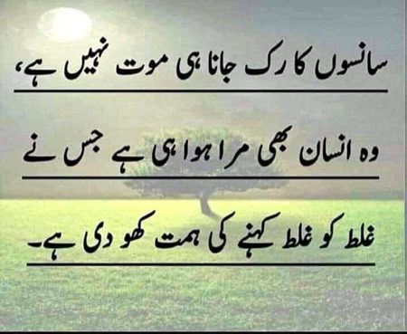 Right words 👍😍👍😍👍😍👍