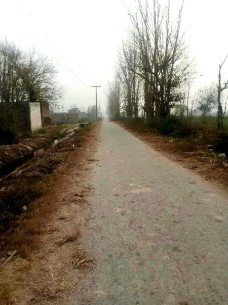 Beautiful Nature image