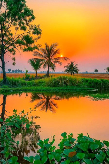 Beautiful Nature image