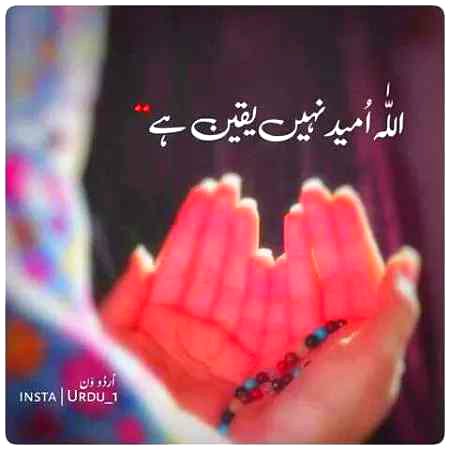 Islamic Quotes image